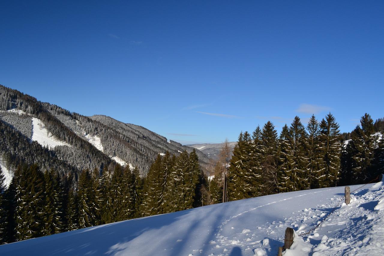 Gasthof Oberer Gesslbauer Stanz Im Murztal Exterior foto